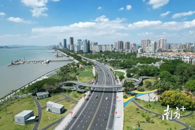 1775726047376329.jpg 4.jpg